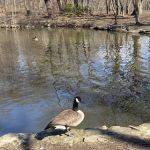 Old Putnam Trail