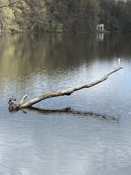 Putnam Greenway in Van Cortlandt Park Picture 8