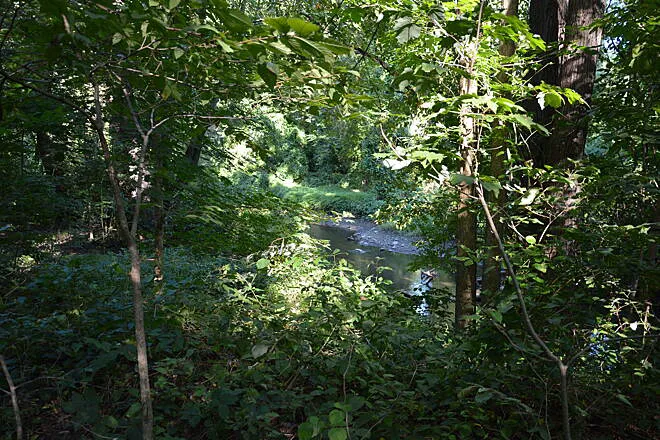Putnam Greenway in Van Cortlandt Park Picture 5