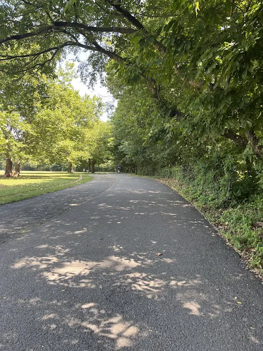 Van Cortlandt Park Alliance Picture 3