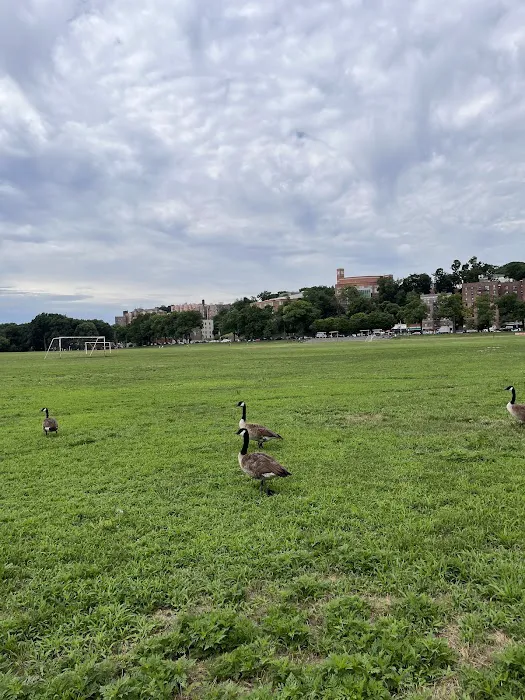 Van Cortlandt Park Alliance Picture 2