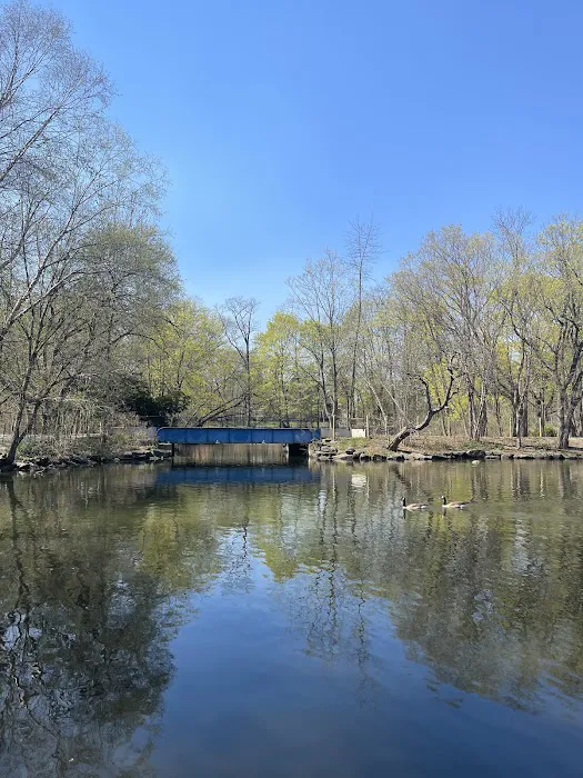 Van Cortlandt Park Alliance Picture 1