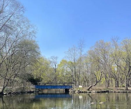 Van Cortlandt Park Alliance