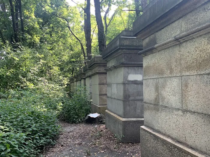 Van Cortlandt Park Alliance Picture 5