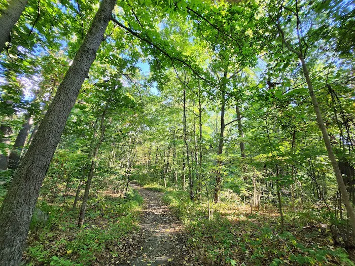 Van Cortlandt Park Alliance Picture 9