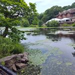 Van Cortlandt Park Lake Outflow