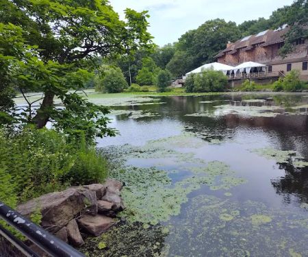 Van Cortlandt Park Lake Outflow