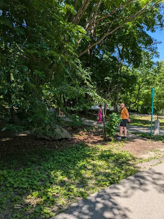 Van Cortlandt Park Lake Outflow Picture 5