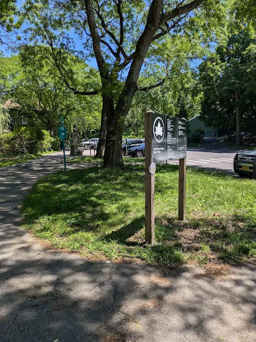 Van Cortlandt Park Lake Outflow Picture 10