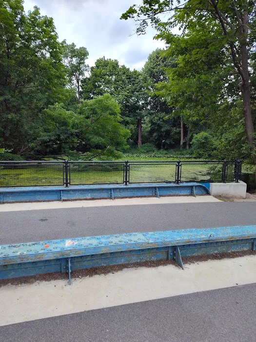 Van Cortlandt Park Lake Outflow Picture 2