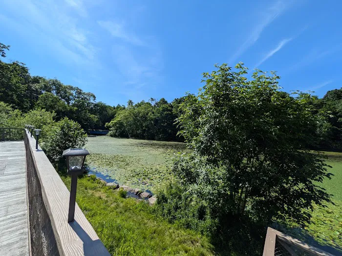 Van Cortlandt Park Lake Outflow Picture 3