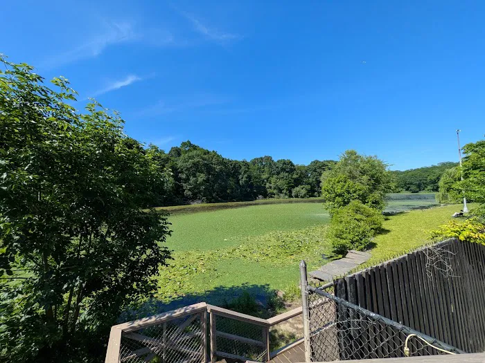 Van Cortlandt Park Lake Outflow Picture 6
