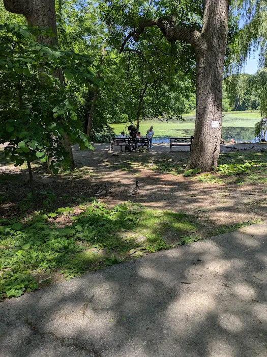 Van Cortlandt Park Lake Outflow Picture 7