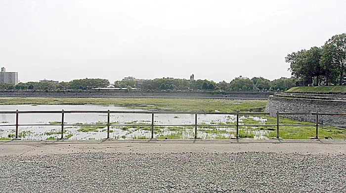 Shore Line Picture 1