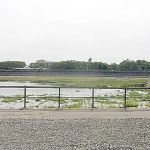 Shore Line