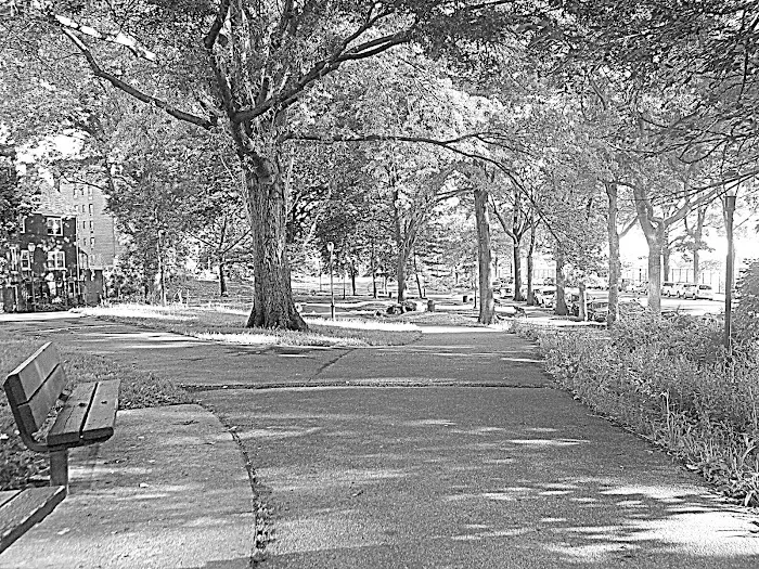 Washington's Walk Picture 10