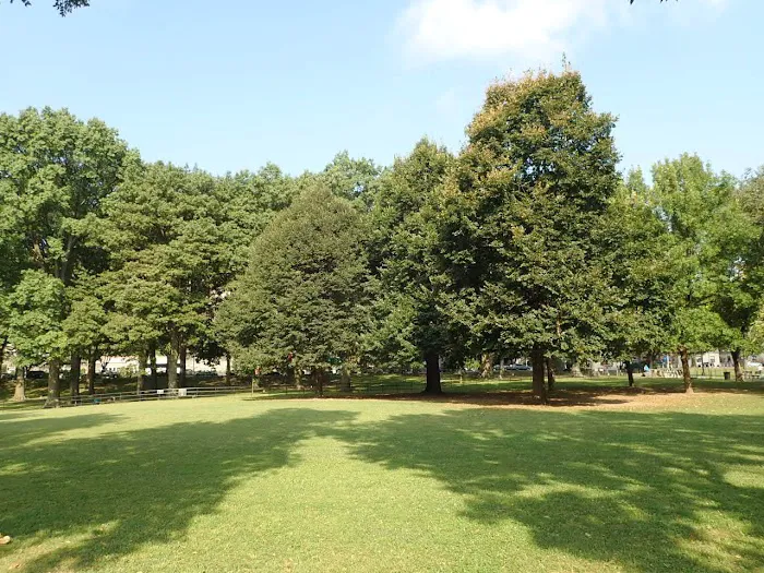 Memorial Grove Picture 9