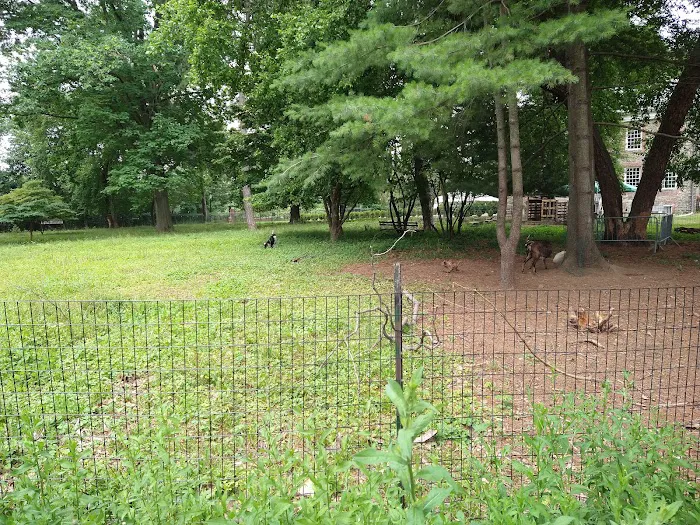 Memorial Grove Picture 5
