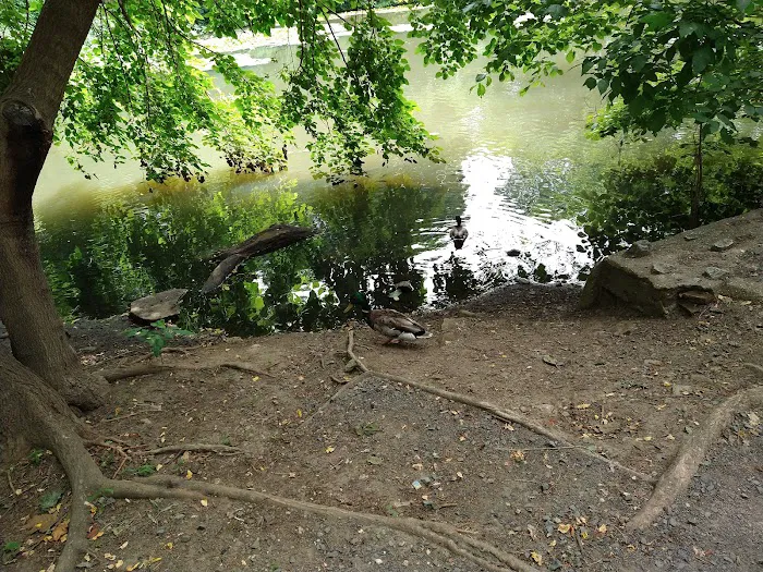 Memorial Grove Picture 3