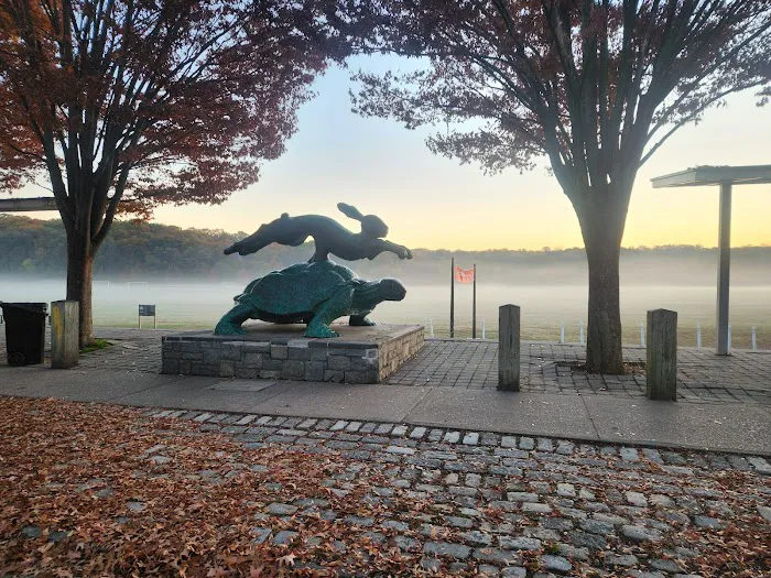 Tortoise & Hare Statue Picture 5