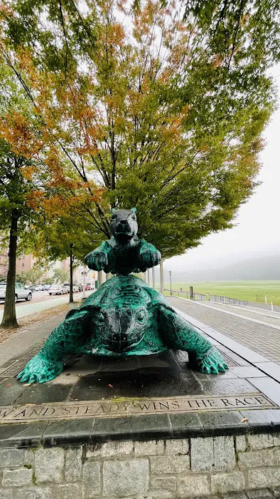 Tortoise & Hare Statue Picture 9