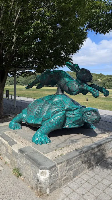 Tortoise & Hare Statue Picture 6