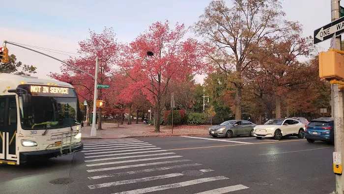 Van Cortlandt's Tail Picture 4
