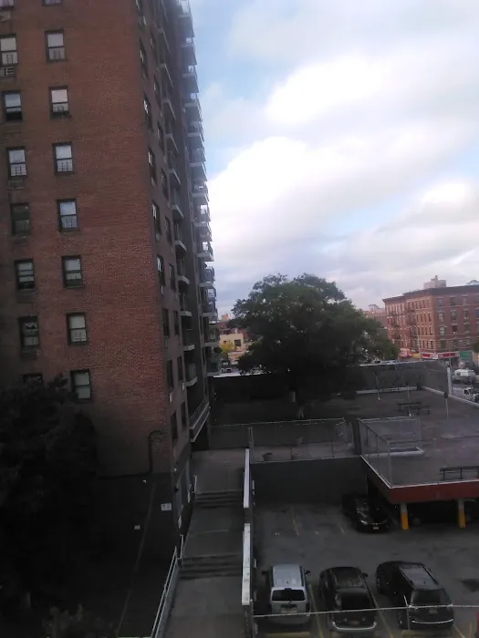 Flood Triangle Picture 7