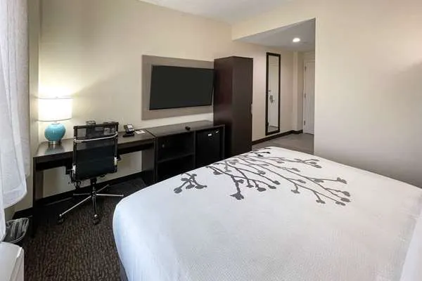 Sleep Inn Picture 3