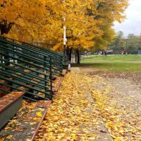 Quarry Ballfields ico