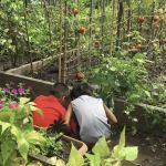 Clinton Avenue Community Garden