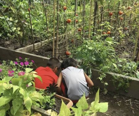 Clinton Avenue Community Garden