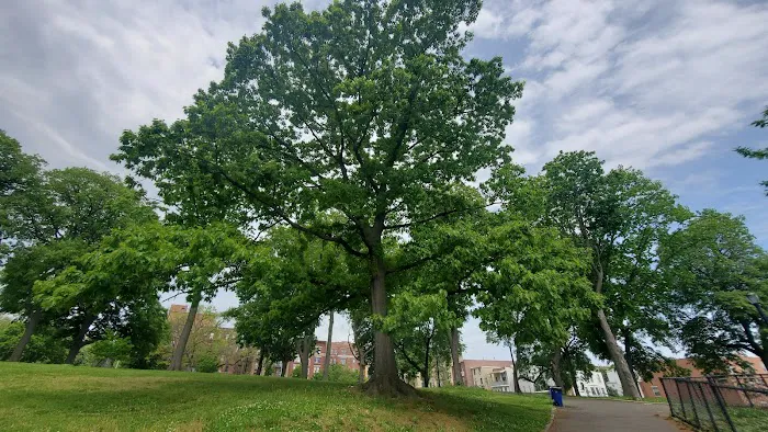 Hylan Park Picture 10