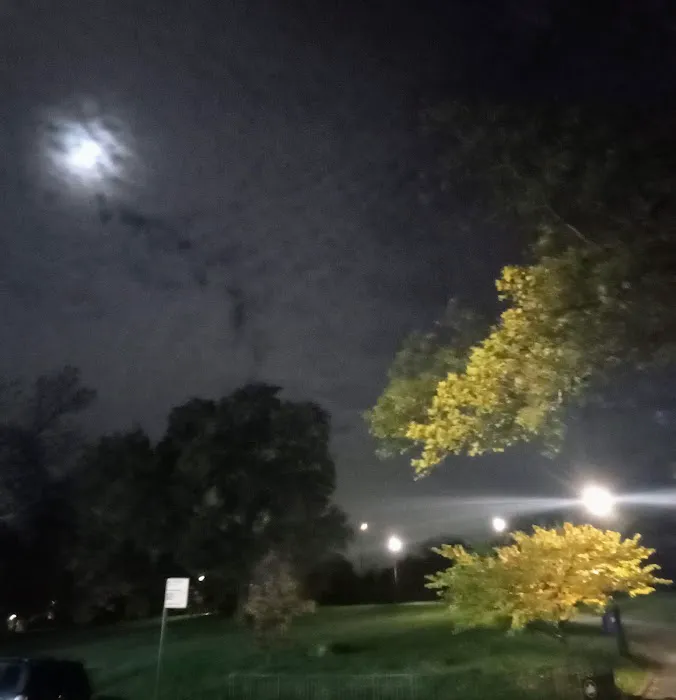 Hylan Park Picture 6