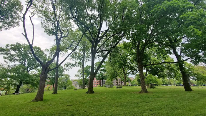 Hylan Park Picture 1
