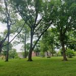 Hylan Park