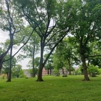 Hylan Park ico