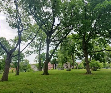 Hylan Park