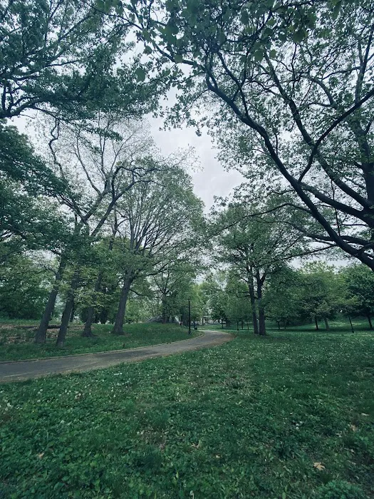 Hylan Park Picture 4