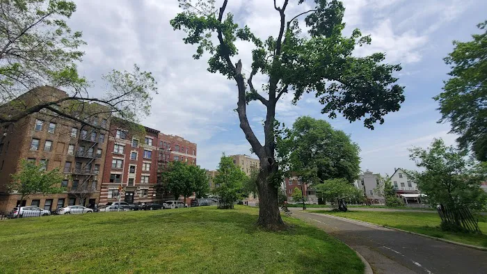 Hylan Park Picture 7