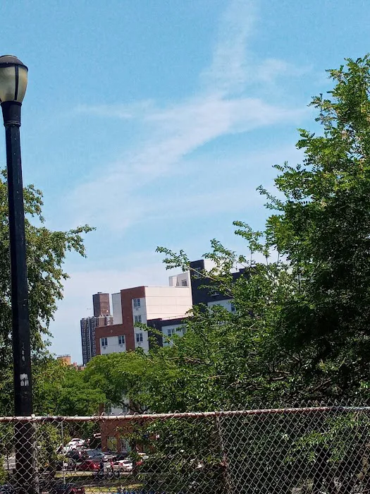 Hylan Park Picture 9