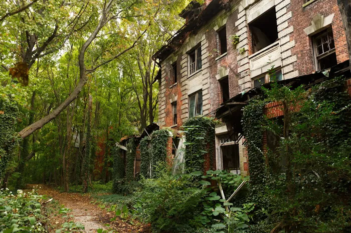North Brother Island Picture 9