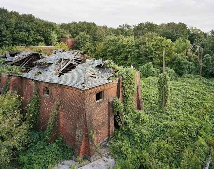North Brother Island Picture 8