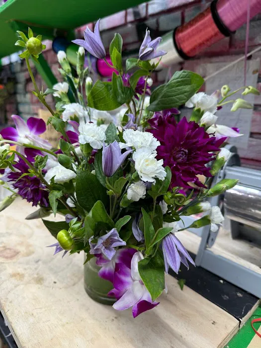 Garden fresh flowers Picture 9