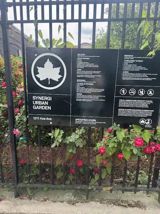 Synergi Urban Garden 2.0 Picture 4