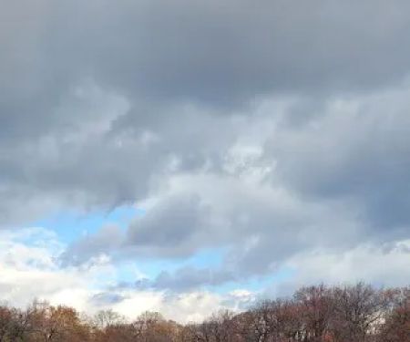 Crotona park