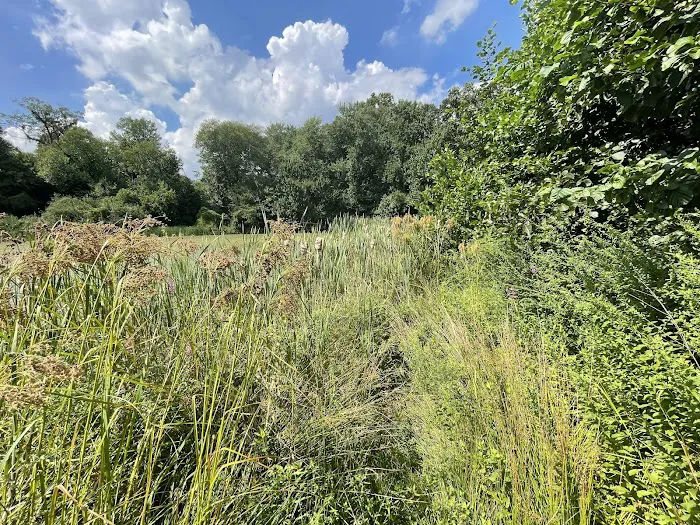 Maplewood Park Picture 2