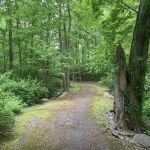 Maplewood Park