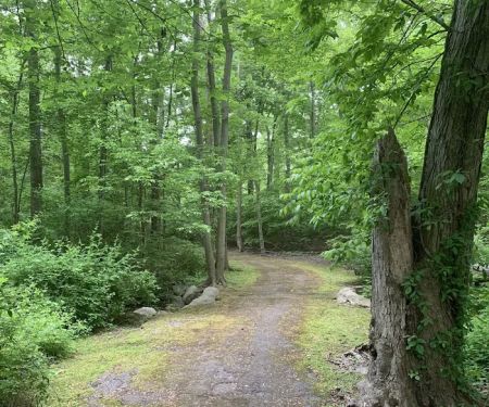 Maplewood Park