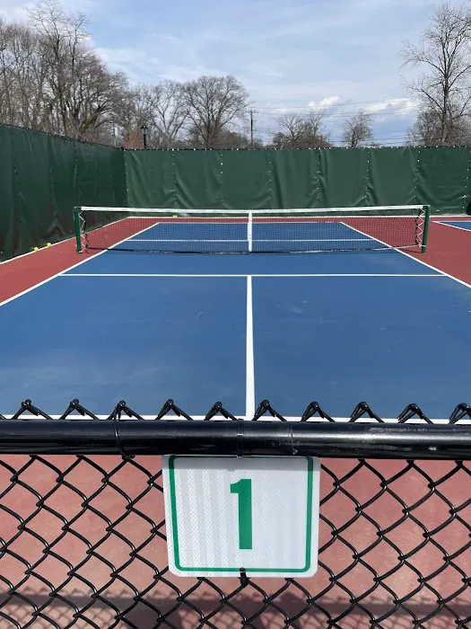 Pickleball Courts Picture 1